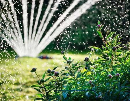 Irrigation